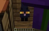 Minecraft's black cat mob can be found in Witch's huts. (Image via Minecraft)